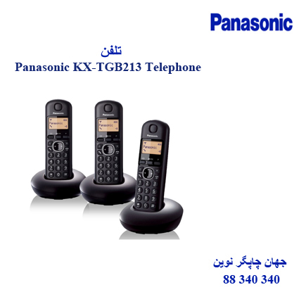 تلفن Panasonic KX-TGB213
